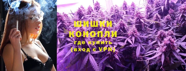 PSILOCYBIN Алексеевка